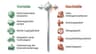 Mid-sized manufacturing company – Project Groenewold IT Solutions