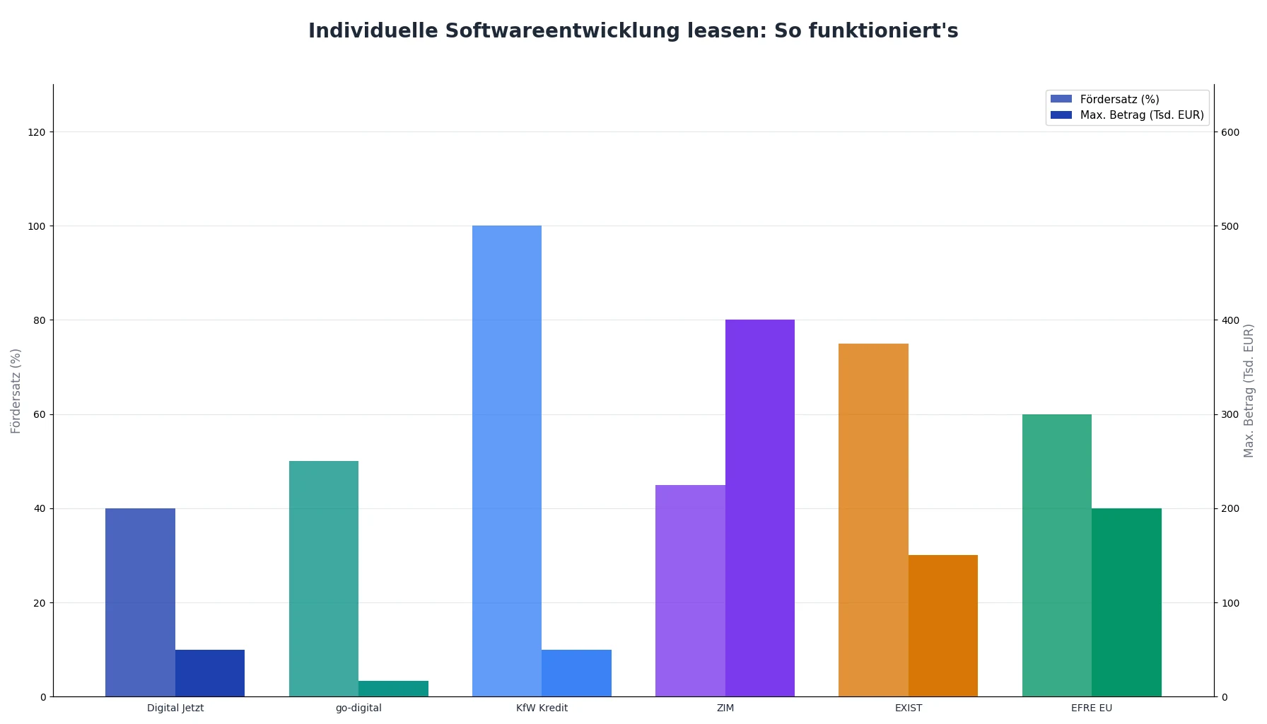 Individuelle Softwareentwicklung leasen: So funktioniert's